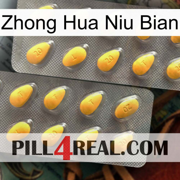 Zhong Hua Niu Bian cialis2.jpg